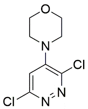 DCPMP